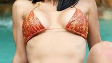 Bai Ling Looks Stunning in a Tiny Bikini on leaks.pics