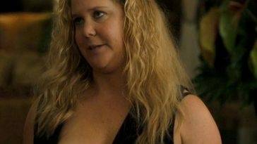 Amy Schumer Nude Scene In Snatched Movie 13 FREE VIDEO on leaks.pics