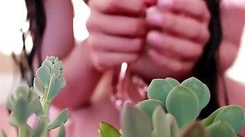 Zia xo succulent glass tentacle dildo wet & messy look dildos porn video manyvids on leaks.pics