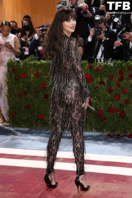 Dakota Johnson Stuns in a See-Through Outfit at The 2022 Met Gala in NYC on leaks.pics